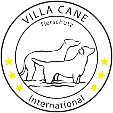Villa Cane International